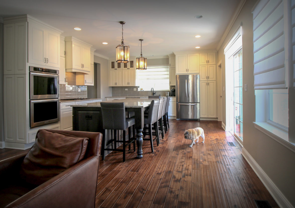 Open-plan Kitchen and Living Space